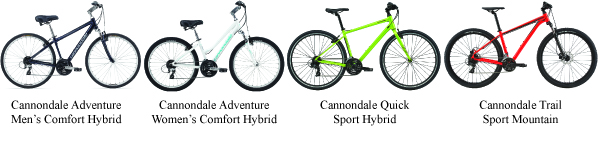 Hybrid and Mountain Bikes Photo